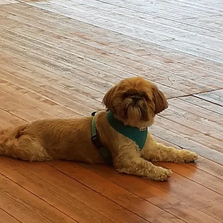 Bed & Breakfast Le Presbytere D'hotes