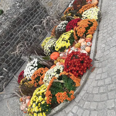 Le Presbytere D'hotes Bed & Breakfast