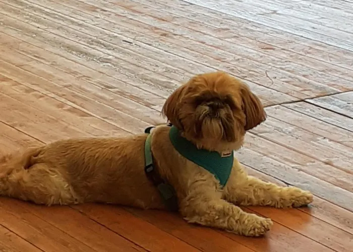 Bed & Breakfast Le Presbytere D'hotes