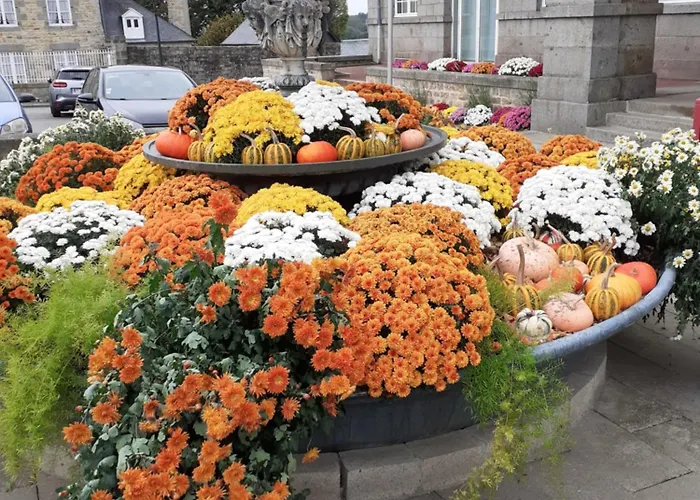 Bed & Breakfast Le Presbytere D'hotes 3*